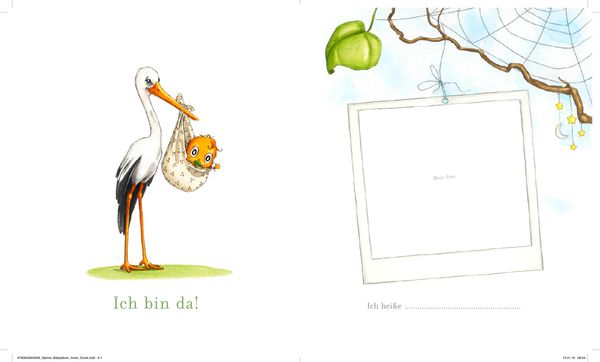 Produktbild: Die kleine Spinne Widerlich - Mein Babyalbum