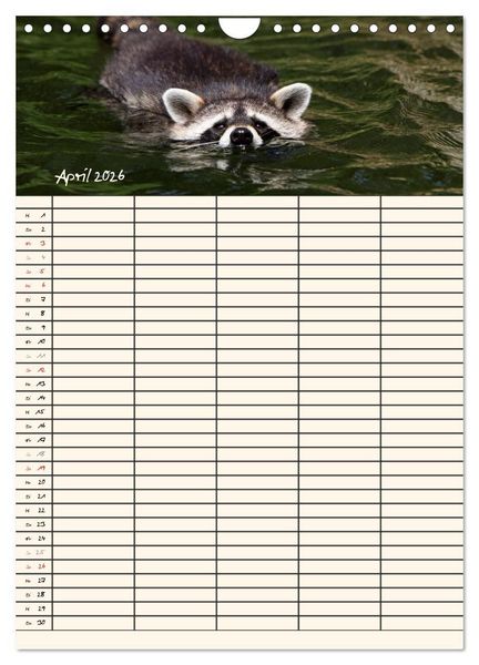 Produktbild: Waschb&auml;ren Familienplaner (Wandkalender 2026 DIN A4 hoch), CALVENDO Monatskalender