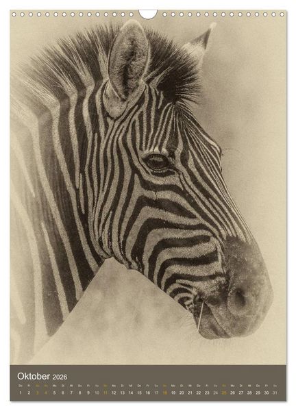Produktbild: Afrikas Tierwelt - Sepia-Art (Wandkalender 2026 DIN A3 hoch), CALVENDO Monatskalender