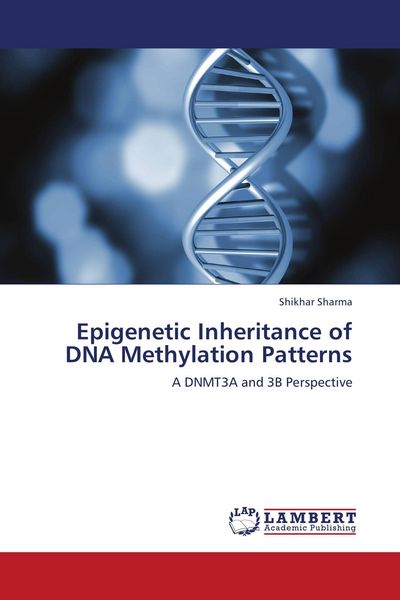 Produktbild: Epigenetic Inheritance of DNA Methylation Patterns