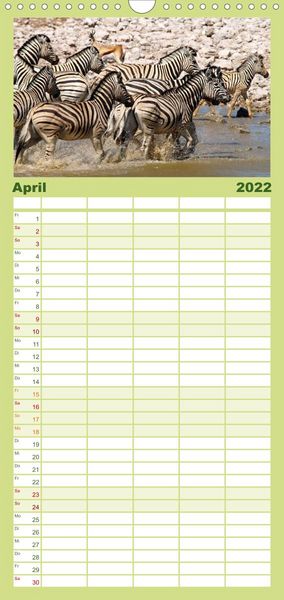 Produktbild: Familienplaner Zebras - Faszination der Wildnis (Wandkalender 2022 , 21 cm x 45 cm, hoch)