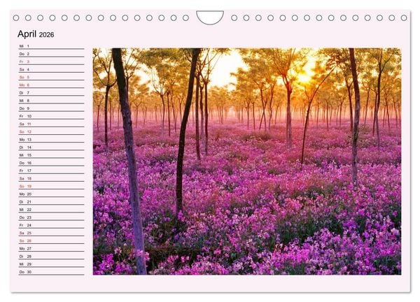 Produktbild: Lila - die mystische Farbe (Wandkalender 2026 DIN A4 quer), CALVENDO Monatskalender