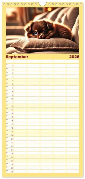 Produktbild: Familienplaner 2026 - Chihuahua-Welpen &ndash; Kleine Wunder mit 5 Spalten (Wandkalender, 21 x 45 cm) CALVENDO