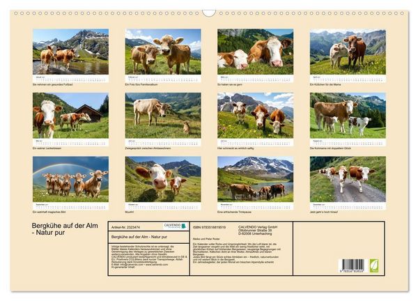 Produktbild: Bergk&uuml;he auf der Alm - Natur pur (Wandkalender 2027 DIN A2 quer), CALVENDO Monatskalender