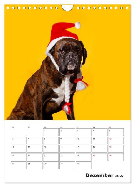 Produktbild: colorful world of boxer 2027 (Wandkalender 2027 DIN A4 hoch), CALVENDO Monatskalender