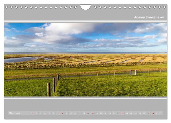 Produktbild: Krummh&ouml;rn im Panorama-Format (Wandkalender 2026 DIN A4 quer), CALVENDO Monatskalender