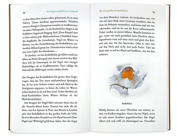 Produktbild: Kleine Philosophie der V&ouml;gel