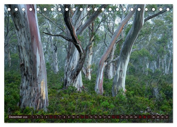 Produktbild: Traumpfade Australien (Tischkalender 2026 DIN A5 quer), CALVENDO Monatskalender
