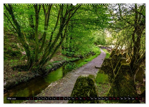 Produktbild: Wege des einfachen Gl&uuml;cks - Spazierg&auml;nge im Wald (Wandkalender 2026 DIN A2 quer), CALVENDO Monatskalender