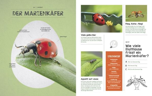 Produktbild: Wer ist da aus dem Ei geschl&uuml;pft?