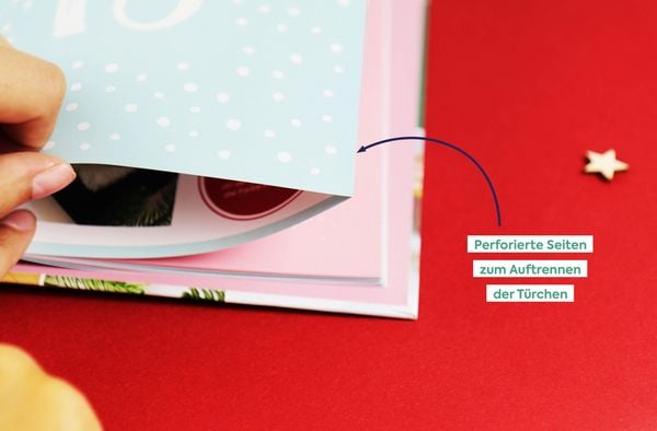 Produktbild: Mein Adventskalender-Buch: Mandala
