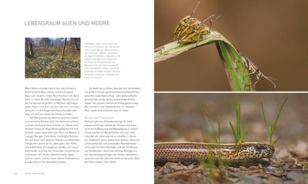Produktbild: Verborgene Wildnis Bayern