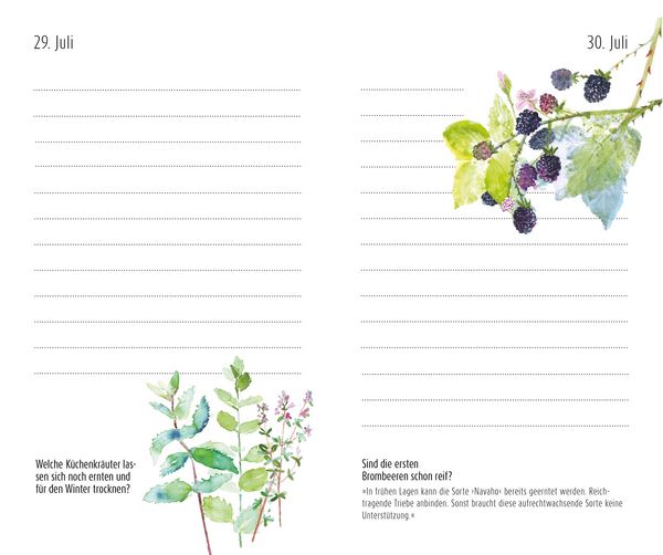 Produktbild: Das Arche Noah Gartenjahr