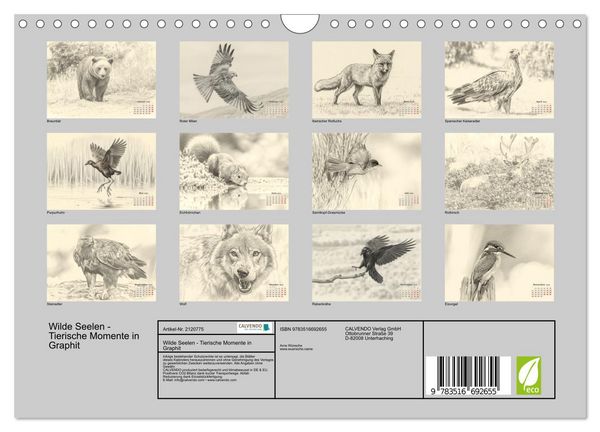Produktbild: Wilde Seelen - Tierische Momente in Graphit (Wandkalender 2026 DIN A4 quer), CALVENDO Monatskalender