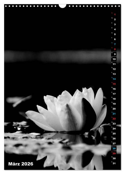 Produktbild: Blumige Graustufen - Schwarz und Wei&szlig; (Wandkalender 2026 DIN A3 hoch), CALVENDO Monatskalender