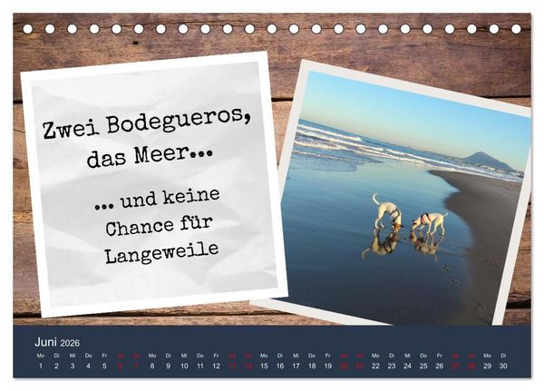 Produktbild: Ratonero Bodeguero Andaluz (Tischkalender 2026 DIN A5 quer), CALVENDO Monatskalender