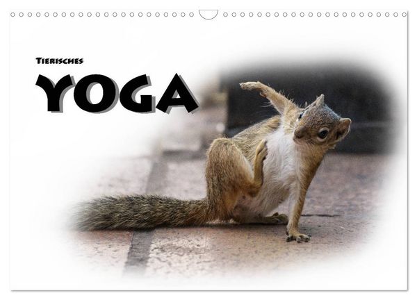 Produktbild: Tierisches Yoga (Wandkalender 2026 DIN A3 quer), CALVENDO Monatskalender