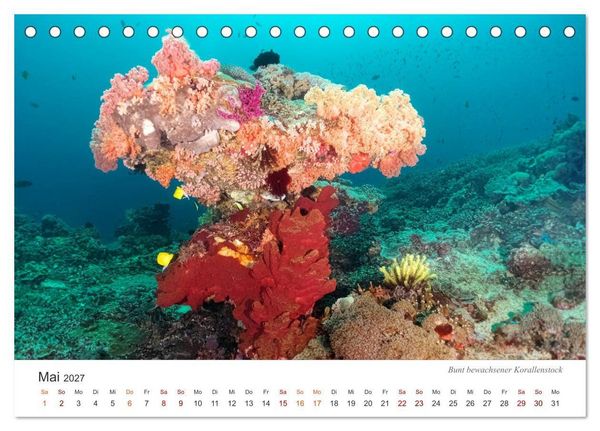 Produktbild: Unterwasser - eine bunte Welt (Tischkalender 2027 DIN A5 quer), CALVENDO Monatskalender