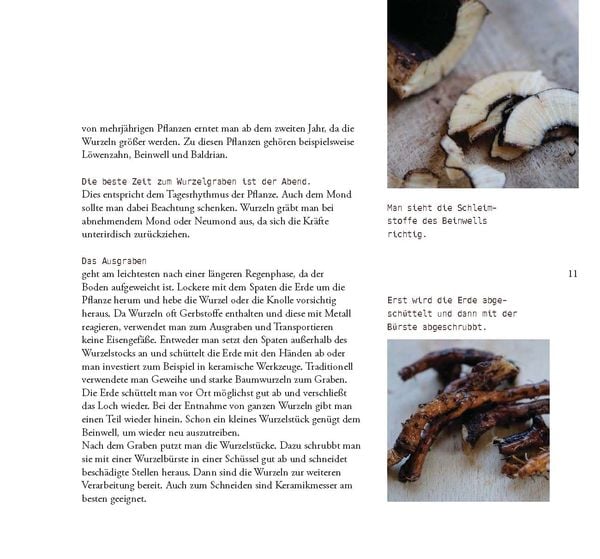 Produktbild: Wildkr&auml;uter, Handarbeit & Brauchtum
