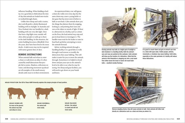 Produktbild: Temple Grandin's Guide to Working with Farm Animals