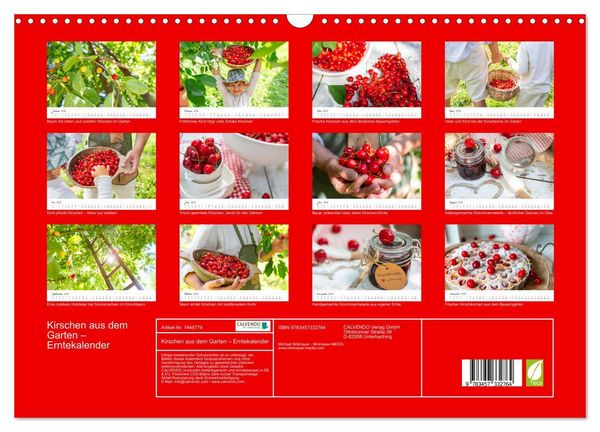 Produktbild: Kirschen aus dem Garten &ndash; Erntekalender (Wandkalender 2026 DIN A3 quer), CALVENDO Monatskalender