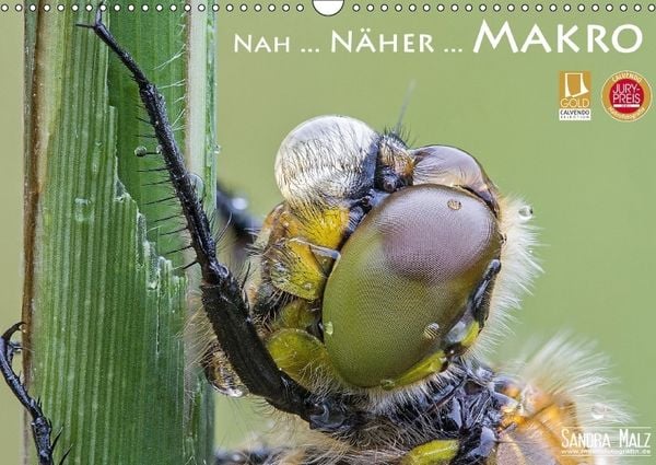 Produktbild: Nah ... N&auml;her ... MAKRO (Wandkalender immerw&auml;hrend DIN A3 quer)