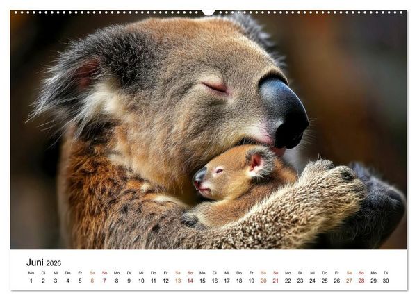 Produktbild: Tiere in ihrer Welt (Wandkalender 2026 DIN A2 quer), CALVENDO Monatskalender