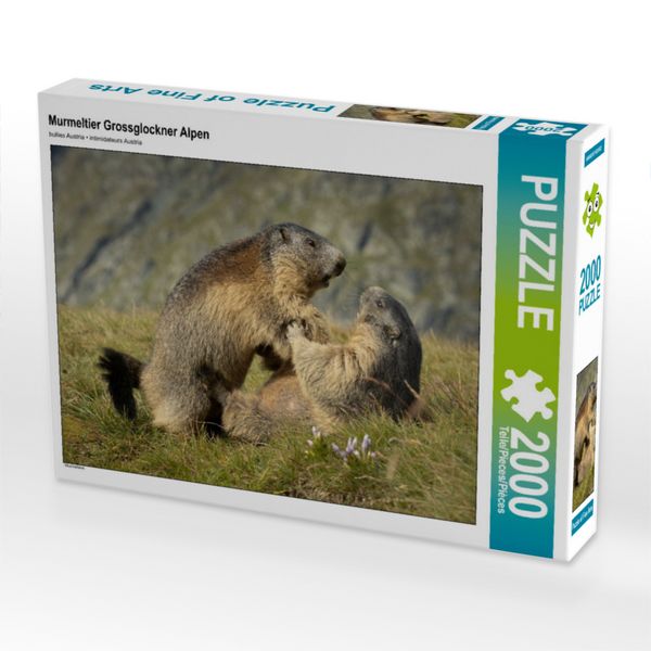 Produktbild: CALVENDO Puzzle Raufbolde | 2000 Teile Lege-Gr&ouml;&szlig;e 90x67cm Foto-Puzzle f&uuml;r gl&uuml;ckliche Stunden
