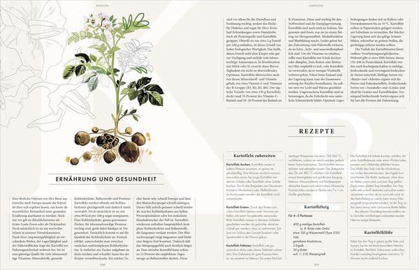 Produktbild: Das Wesentliche