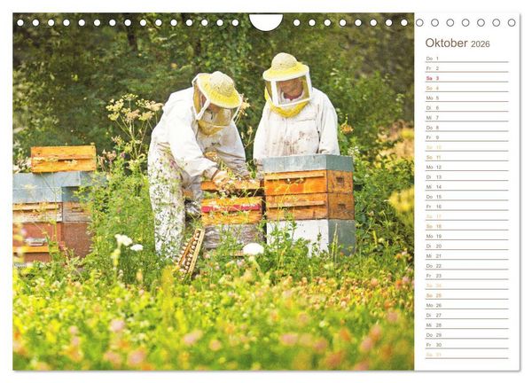 Produktbild: S&uuml;&szlig;es Gold: Imker, Bienen & Honig (Wandkalender 2026 DIN A4 quer), CALVENDO Monatskalender