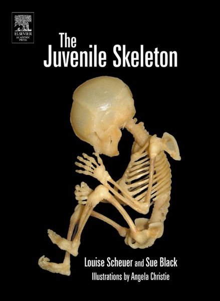 Produktbild: The Juvenile Skeleton