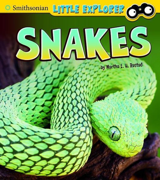 Produktbild: Snakes