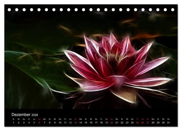 Produktbild: Floral Abstrakt 2026 (Tischkalender 2026 DIN A5 quer), CALVENDO Monatskalender