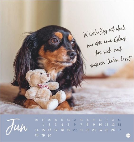 Produktbild: Ziemlich beste Freunde Postkartenkalender 2027 - F&uuml;r immer dein