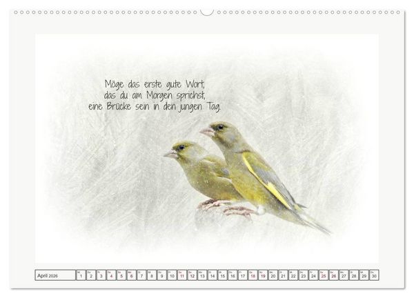 Produktbild: Irische Segensw&uuml;nsche (Wandkalender 2026 DIN A2 quer), CALVENDO Monatskalender