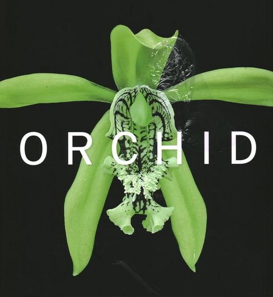Produktbild: Orchid
