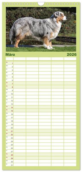 Produktbild: Familienplaner 2026 - Australian Shepherd - H&uuml;tehunde mit Familienanschluss mit 5 Spalten (Wandkalender, 21 x 45 cm) CALVENDO