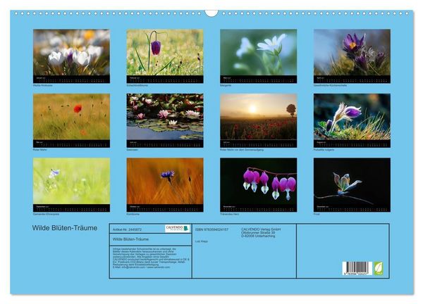 Produktbild: Wilde Bl&uuml;ten-Tr&auml;ume (Wandkalender 2027 DIN A2 quer), CALVENDO Monatskalender