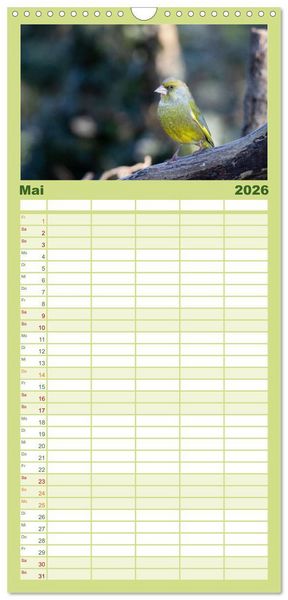 Produktbild: Familienplaner 2026 - Der Kernbei&szlig;er und seine gefiederten Gesellen mit 5 Spalten (Wandkalender, 21 x 45 cm) CALVENDO