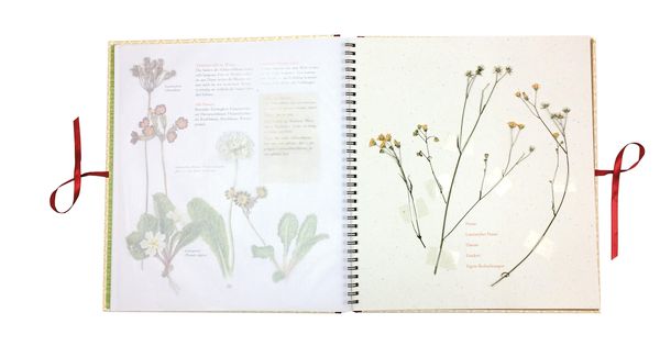 Produktbild: Auf der Hummelwiese &ndash; Das gro&szlig;e Herbarium