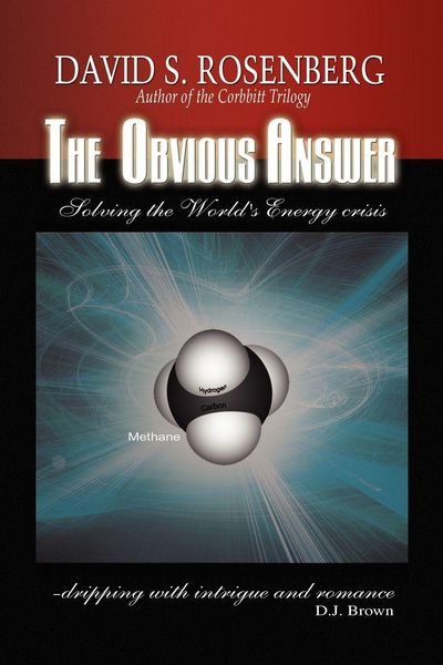 Produktbild: The Obvious Answer