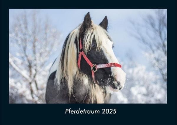 Produktbild: Pferdetraum 2025 Fotokalender DIN A4