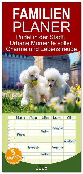 Produktbild: Familienplaner 2026 - Pudel in der Stadt. Urbane Momente voller Charme und Lebensfreude mit 5 Spalten (Wandkalender, 21 x 45 cm) CALVENDO