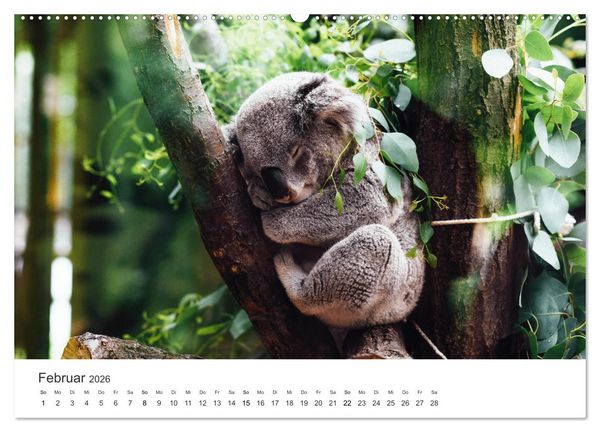 Produktbild: Faszination Australien - Impressionen vom Land Down Under (Wandkalender 2026 DIN A2 quer), CALVENDO Monatskalender