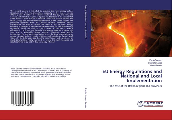 Produktbild: EU Energy Regulations and National and Local Implementation