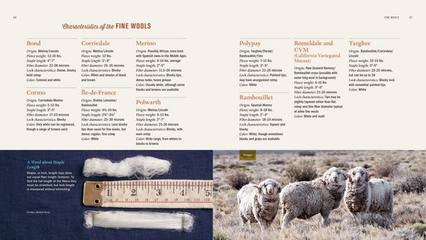 Produktbild: The Spinner's Book of Fleece