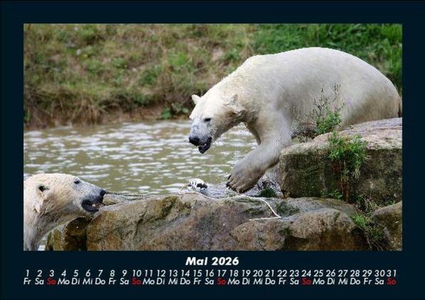 Produktbild: Welt der Tiere 2026 Fotokalender DIN A5