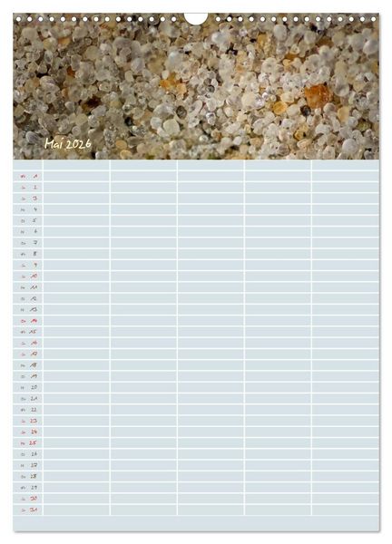 Produktbild: Kleine Sand-Sch&ouml;nheiten / Familienplaner (Wandkalender 2026 DIN A3 hoch), CALVENDO Monatskalender
