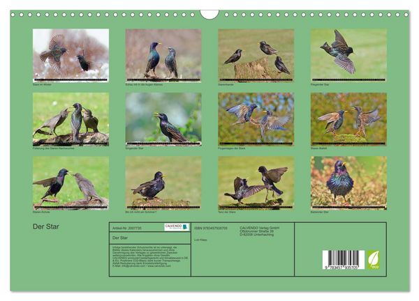Produktbild: Der Star (Wandkalender 2026 DIN A3 quer), CALVENDO Monatskalender