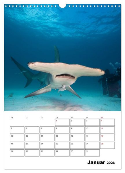 Produktbild: Tauchen - Abtauchen und Staunen (Wandkalender 2026 DIN A3 hoch), CALVENDO Monatskalender